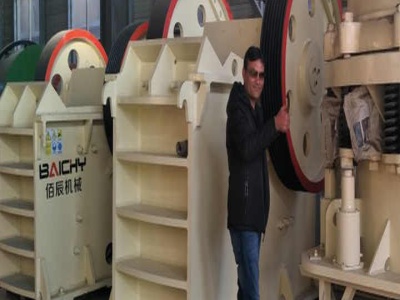 Hammer Mill Maker in India Ronak Engineering in India